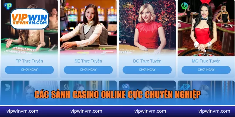 Các sảnh casino online cực chuyên nghiệp