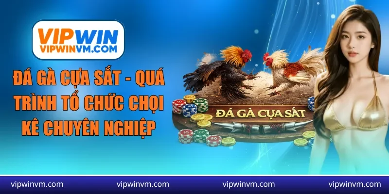 đá gà cựa sắt