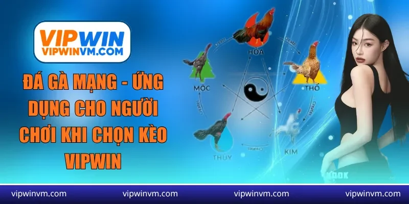 đá gà mạng