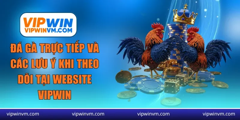 đá gà trực tiếp