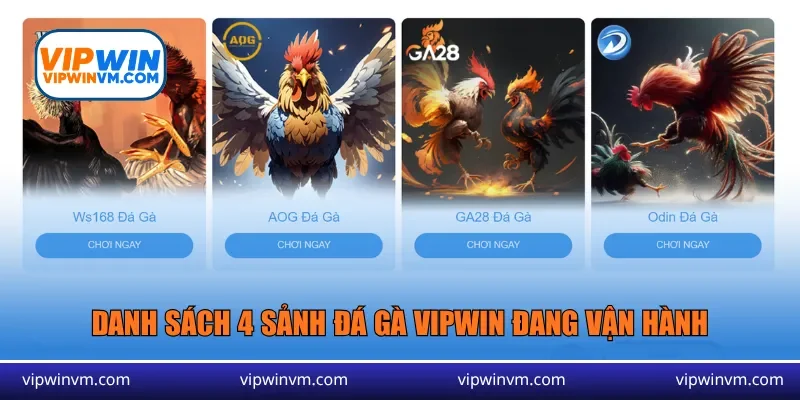 Danh sách 4 sảnh đá gà Vipwin đang vận hành