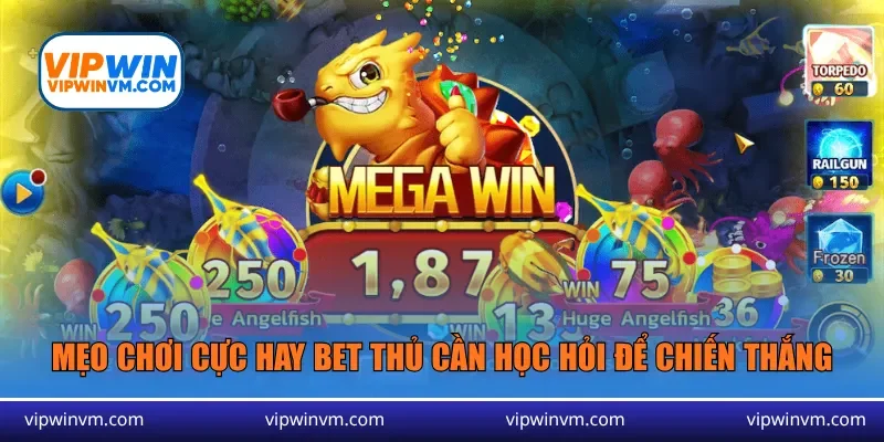 Mẹo chơi cực hay bet thủ cần học hỏi để chiến thắng