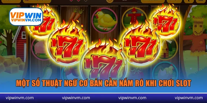 Một số thuật ngữ cơ bản cần nắm rõ khi chơi slot