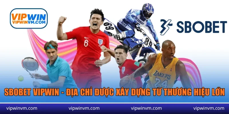 Sbobet Vipwin - Địa chỉ cược được xây dựng từ thương hiệu lớn