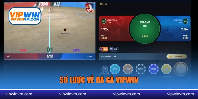 Sơ lược về đá gà Vipwin