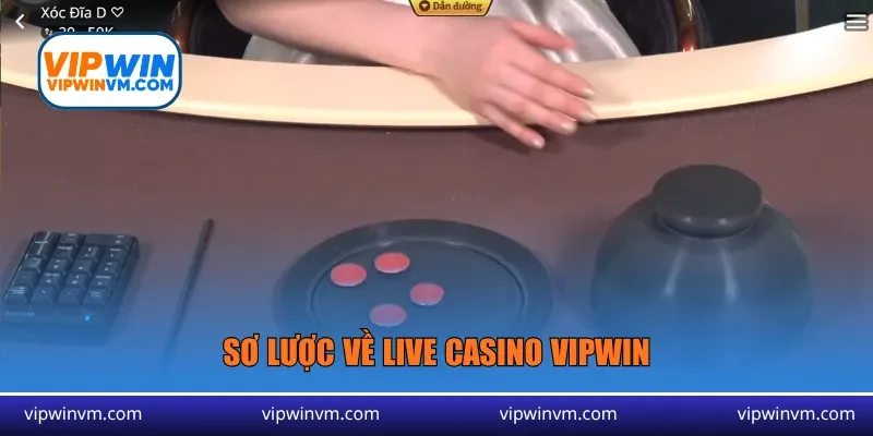 Sơ lược về live casino Vipwin