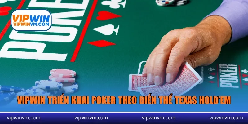 Vipwin triển khai poker theo biến thể Texas Hold’em